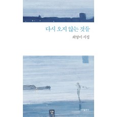 다시 오지 않는 것들:최영미 시집, 이미, 최영미