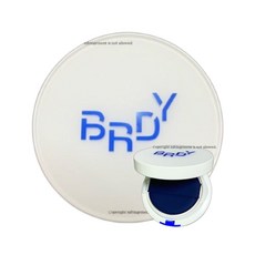 비레디 남자쿠션 블루 쿠션 파운데이션 05 오웬 SPF 34 PA++ 15g, 1개
