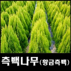 b1789bd4205b9beacbacedab7043ba4b6d59f5ee6509000530d5eaff5d50.jpg