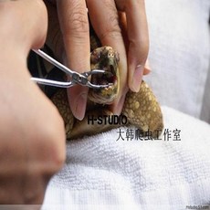 a2cc662985732331ece6a236f3852ca2d74f8df7e7b4a353f59f1dbcfed6.jpg