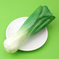 청경채 모형 24.5cm 인조 야채 가짜 쌈 채소 모조 진열소품 PU