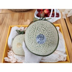 수플린메론