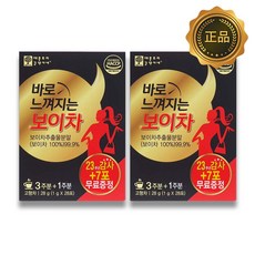 악마다이어트 바로 느껴지는 보이차, 1g, 28개입, 2개