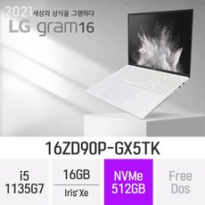 LG 2021 그램16 16ZD90P-GX5TK [한컴 오피스 증정], 16GB, FREEDOS, 512GB