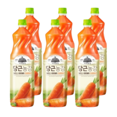 웅진 가야농장 당근 야채주스, 6개, 1.5L