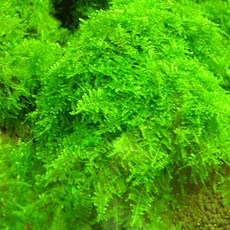 0ca33b5a266313c3a7a7f97dfa5fe0c2c98783af7db5fffabf8bde9ff1b5.jpg