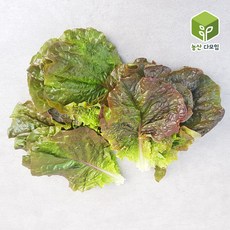 적상추4kg