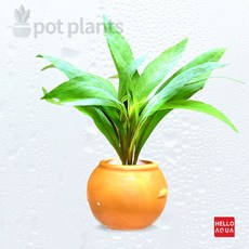 2b1b28f35179245a7b9976b68e8f016de0ff5202a11f829df193eda8ad97.jpg