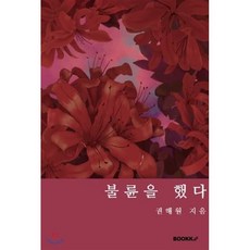 불륜소설