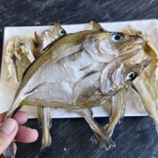 펼친대구 손질된 배가른 노가리 아빠 술안주 간식 반건노가리, 300g, 1개