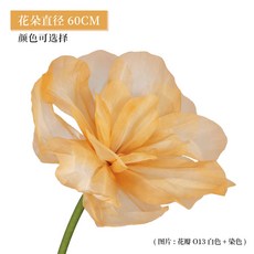 fccc9e28621e876520ad808bc5cb90267f72d38b026fa38cc5e8d24508c2.jpg