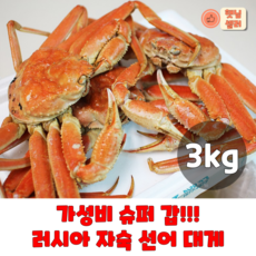 킹크랩선어