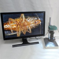 aedeb0ff74b0b0df331396edca42aeae2f0a4a49ea1e2f68d3042b6c3f1b.jpg