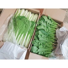 연하고 부드러운 포천 아기열무+얼갈이 2kg.4kg