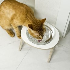 아쭈 고양이 강아지 물그릇 수반 유리식기 세트, 대형:8cm(그릇 포함), 1개, 내추럴(거치대)