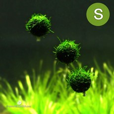 0132d77174876f09977ab3a82d1a7cecbb4cc4ea77aef94602f5bb0f2936.jpg