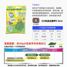 레이저백거북이