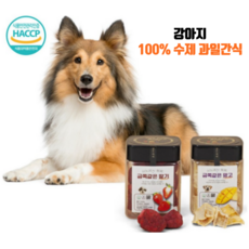금쪽이들의진짜속마음책