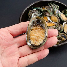 완도산지직송 활전복 꼬마400g(16-25미) 찌개용 산소포장, 1개, 활전복500g(9-10미)
