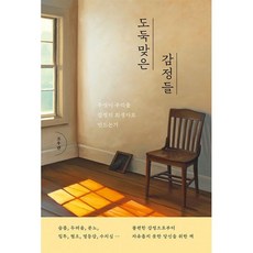 소설도둑맞은책