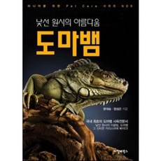 낯선원시의아름다움도마뱀