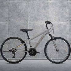 2023 알톤 라임스톤1.0 24 인치 알루미늄 시마노 21단 초등학생 MTB 자전거, 무광레드