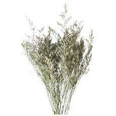 情人草 藍色120g, 1入, 藍色