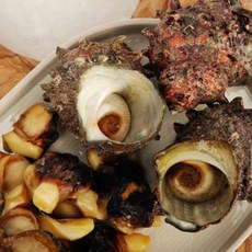 제주 자숙뿔소라살 170g, 1개