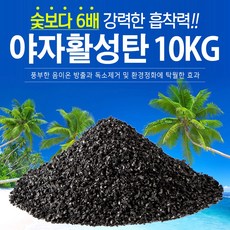 지니컴퍼니 1등급 야자활성탄, 10kg, 1개