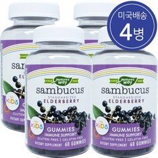 Natures Way 네이쳐스웨이 어린이 엘더베리 삼부커스 60구미 4병, 60정