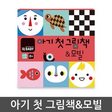 아이큐베이비초점책