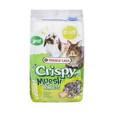 제네시스알파파