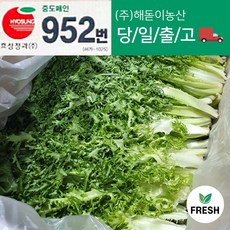 <해돋이농산> 국내산 치커리 쌈야채 2kg내외, 2박스, 4kg내외