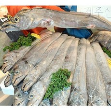 (신규등록할인)특대왕갈치(620g) 옥돔 고등어 공짜!, 특대왕갈치4팩(고등어2마리 공짜 서비스), 제주산은갈치600g이상