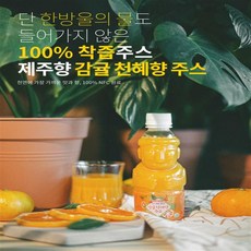 제주향 천혜향 감귤주스 리얼착즙 24개 과일주스, 330ml