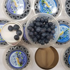 고당도 국내산 블루베리 생과 5팩 10팩, 고당도 블루베리(100g)5팩, 1개