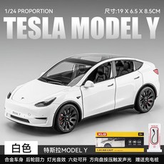 테슬라모델y다이캐스트 TOP01