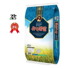 (백화점배송) 참달성 [2023 햅쌀] 유가찹쌀10kg / 동진찰벼 1047182