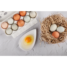 난각번호1번 방사 계란 유정란 자연방사 방목 달걀 산속식육점 20구 30구, 40구, 1개