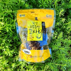 국산 고사리 광양고사리 건고사리 말린고사리 100g, 1개