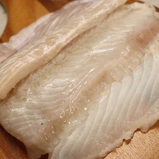청년감별사 머슬광어 어류, 1박스, 600g