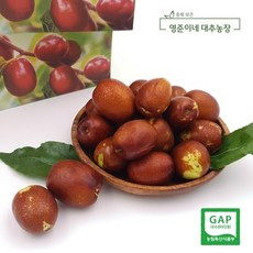 보은대추 햇 생대추1kg(26mm) 산지직송, 단품