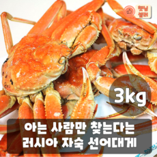 킹크랩선어