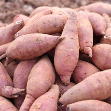 [히동이네] 산지직송 황토밭재배 영암 꿀고구마 한입 3kg, 상세 설명 참조