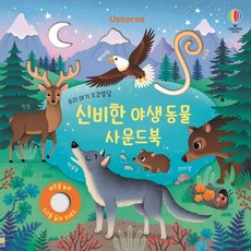 오감발달사운드북