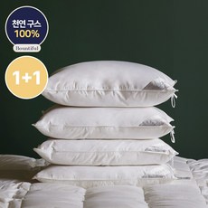 바운티풀구스1+1
