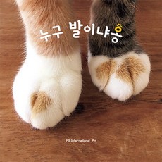 앙쥬잡지