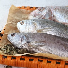 반건조 제수용 생선세트(참돔+민어+조기), 1개
