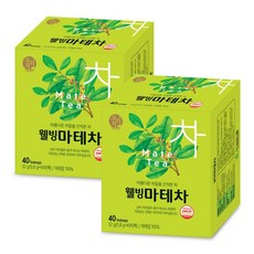 송원 웰빙마테차 40T x 2개