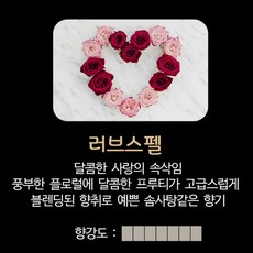 하만카돈사이테이션스탠드